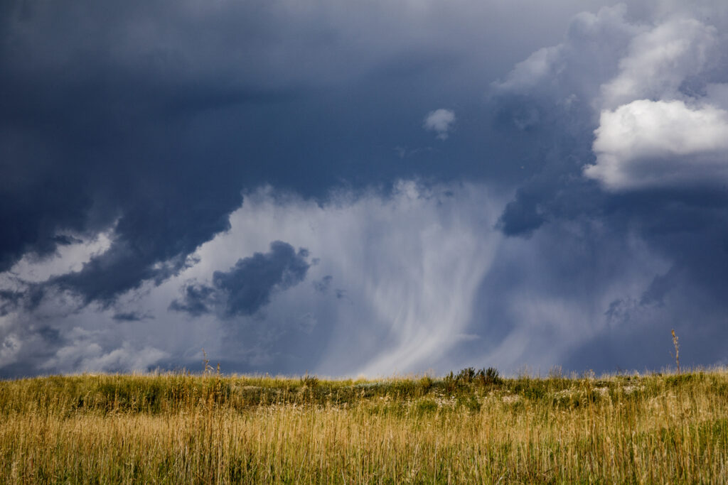 Woods Fork Cattle Company, Missouri thumb