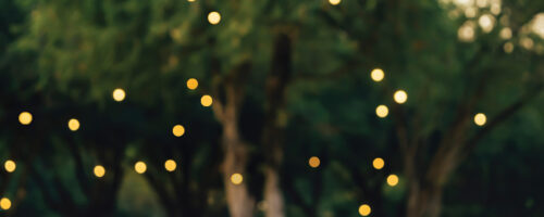 Rooted in a Vision: 80 Years of Noble Research Institute thumb