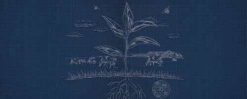 Noble Land Stewardship Program Aims to Help Ranchers Put Numbers to the Value They Bring to Society thumb