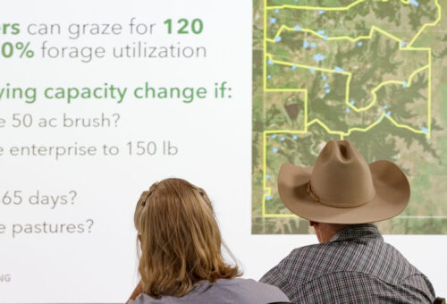 Noble Research Institute thumb