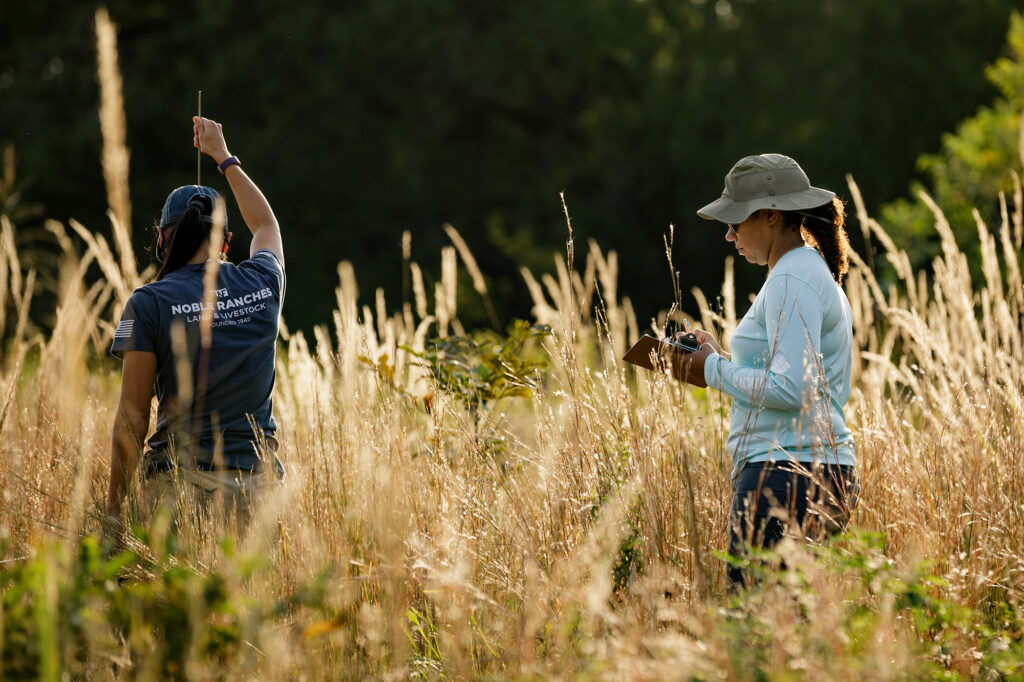 monitoring vegetation in pasture