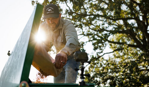 What Your Grass and Cover Crop Seeds Need to Succeed thumb