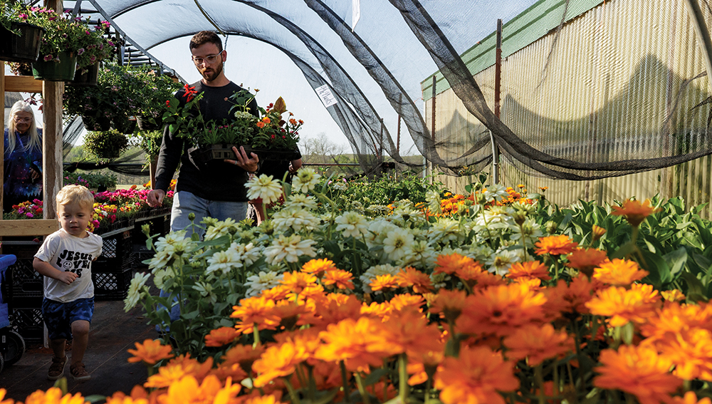 flowers in greenhouse