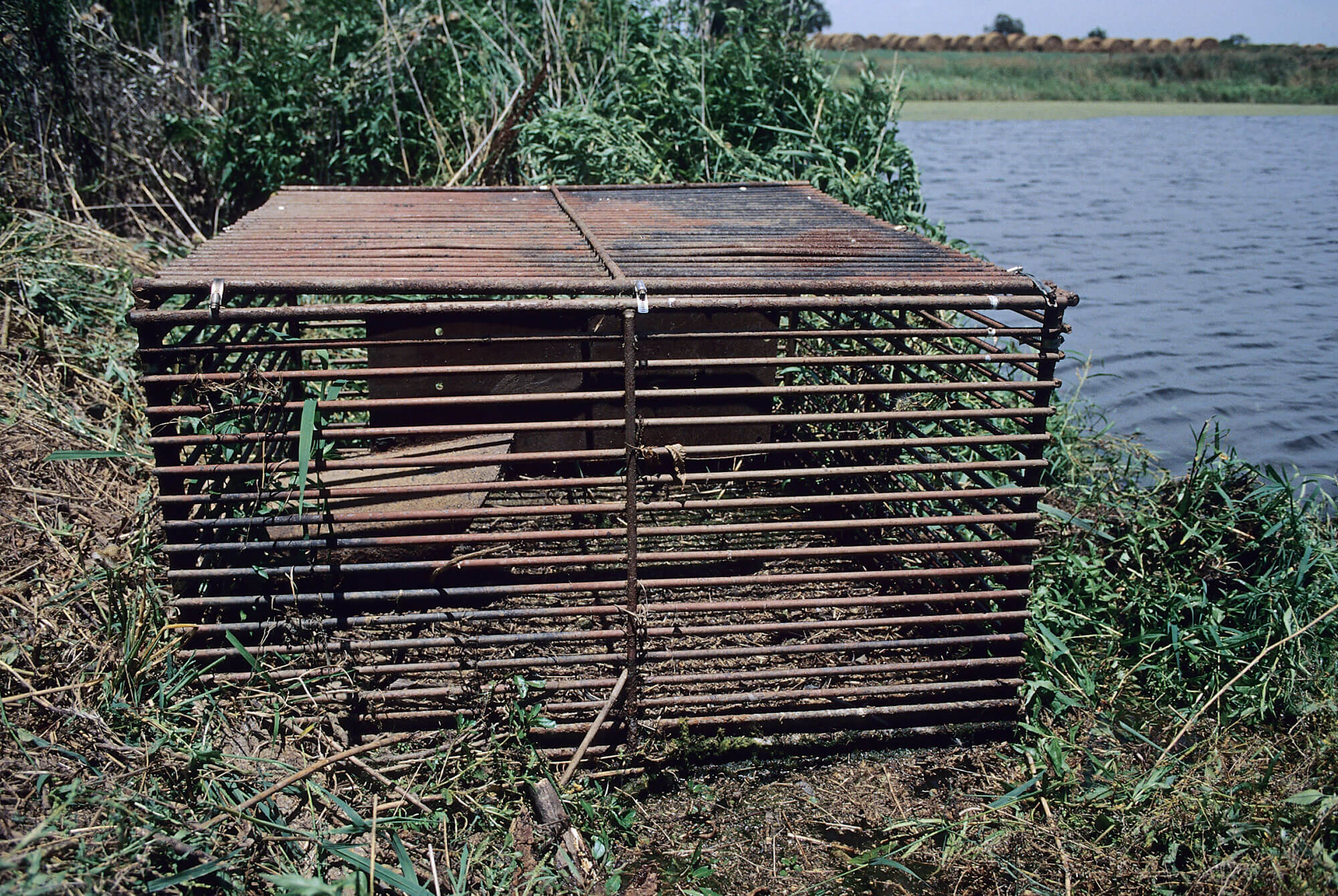 Figure 1. Box-type, parallel bar-barrier protecting
hooded inlet overflow pipe at 3 South Pond.