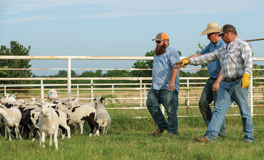 Noble Ranch Team members