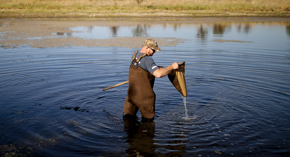 Noble Research Team gathering data from pond