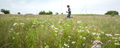 Noble Research Institute Recognizes G Bar C Ranch with Inaugural Noble Land Stewardship Award thumb