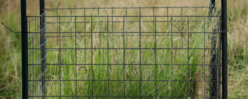 Gain a new view of your pastures’ forage potential thumb