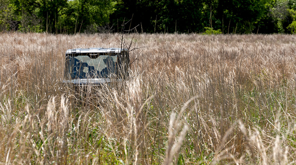 ATV in pasture