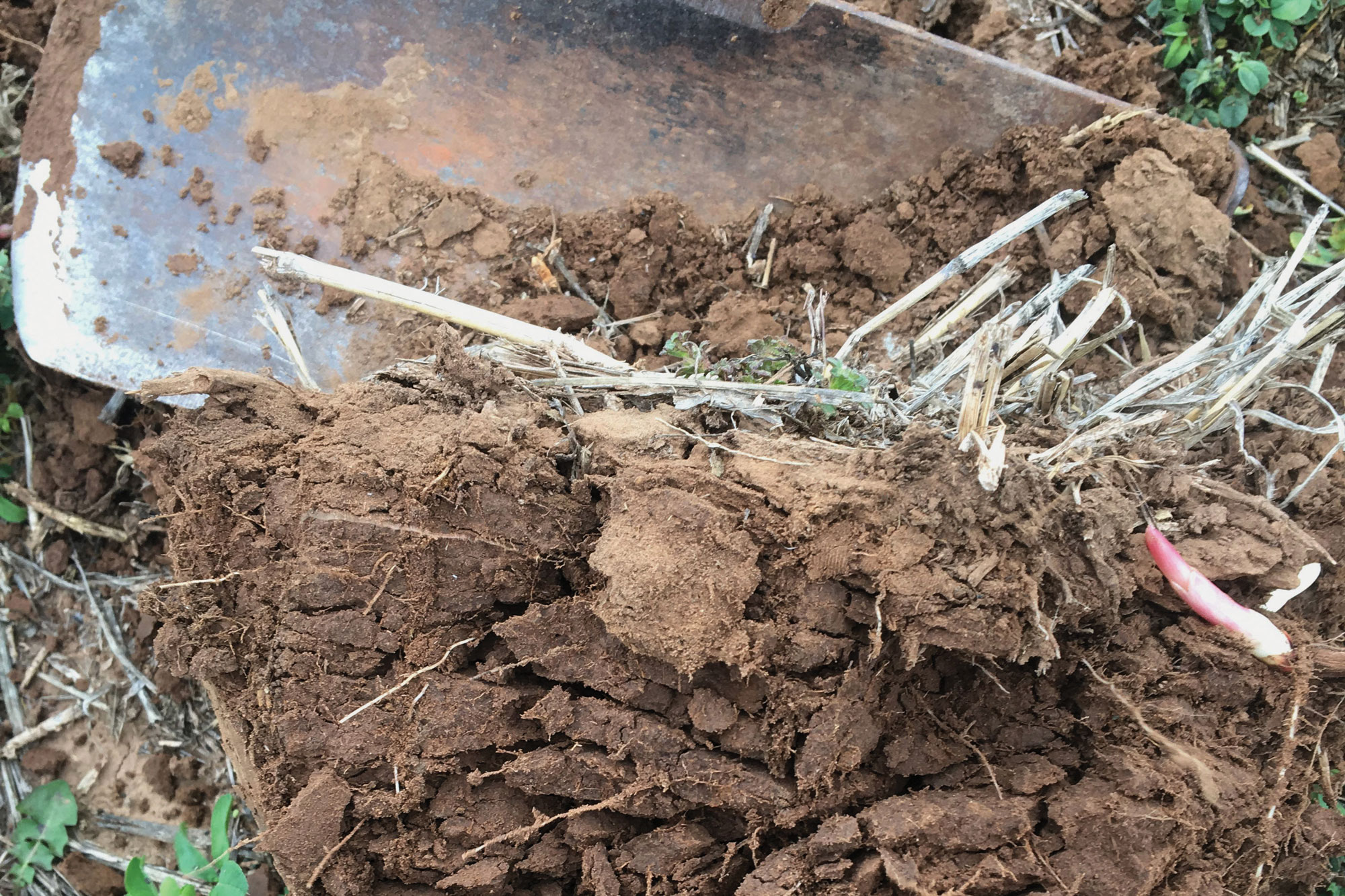 Soil Structure Soil Structure