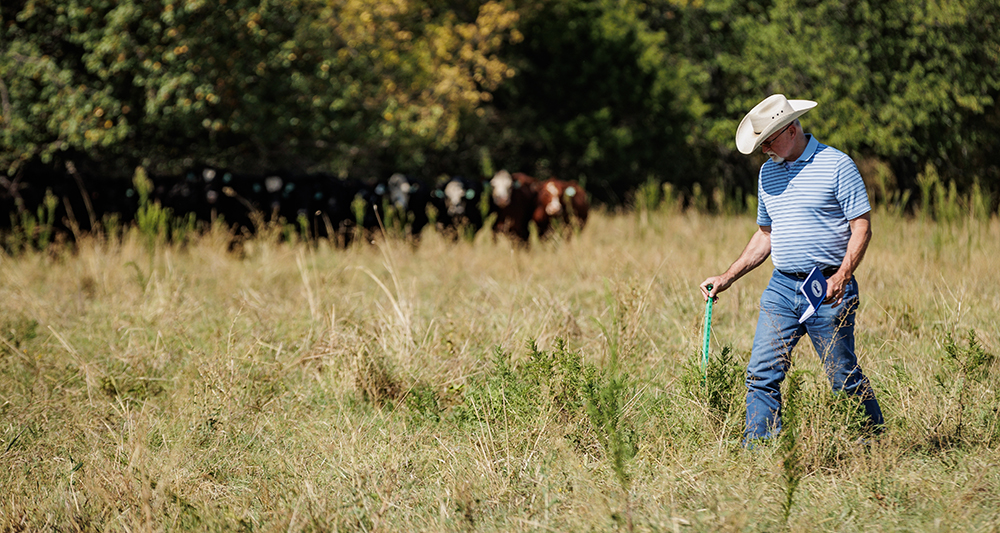 using resources in field