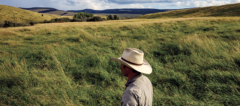 rancher overlooking property