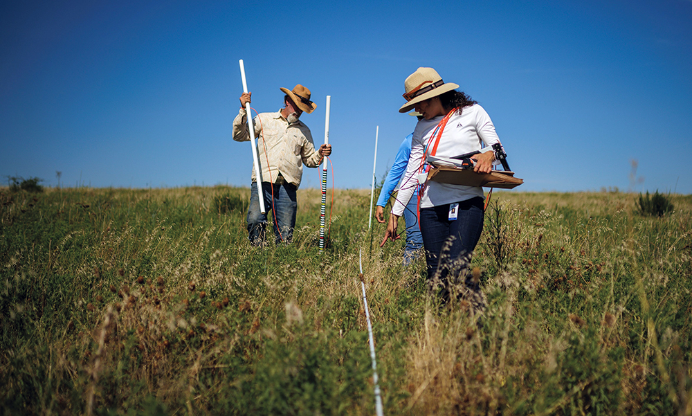 collecting data in field