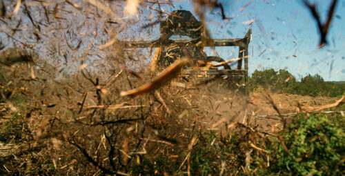 Mulch Pecan Orchards with Limb Trimmings thumb