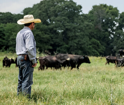 Noble Research Institute thumb