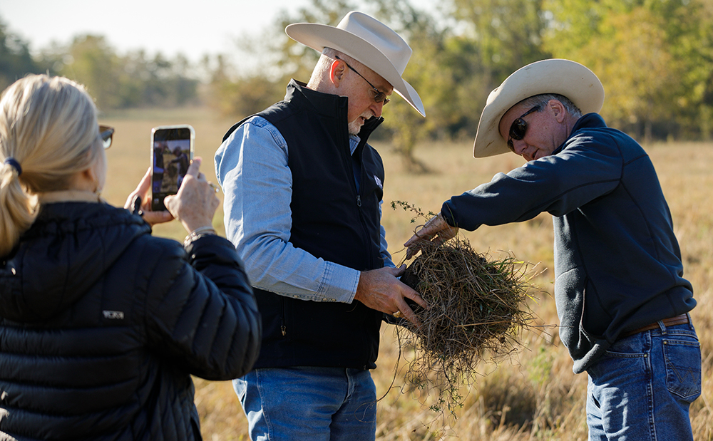 research in pasture
