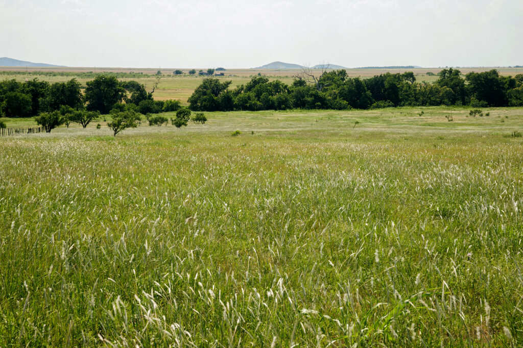 land of a regenerative rancher