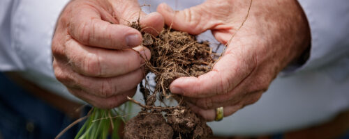 Putting Soil Health First thumb