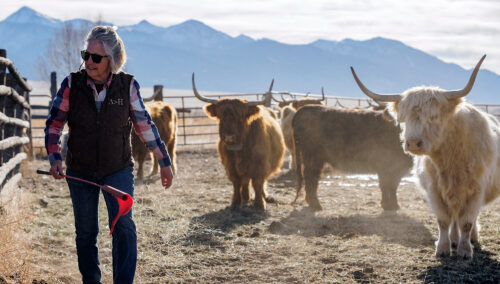 Restoring A Family Legacy thumb