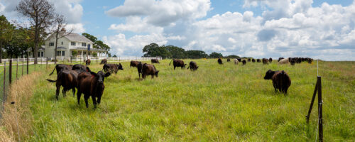 From Dust Bowl to Restoration: Noble Research Institute Launches Event Honoring Legacy of Land Stewardship thumb