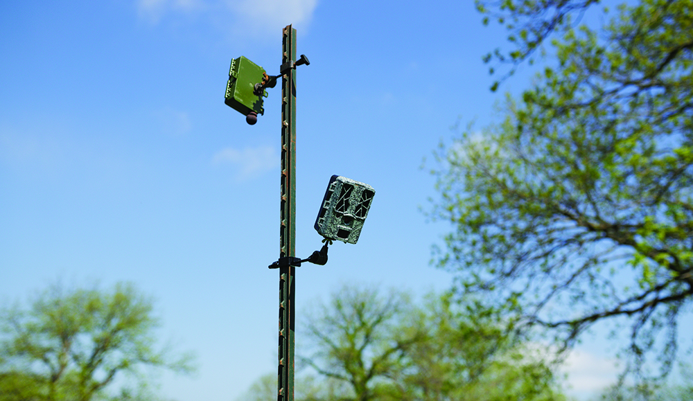 installed trail cameras