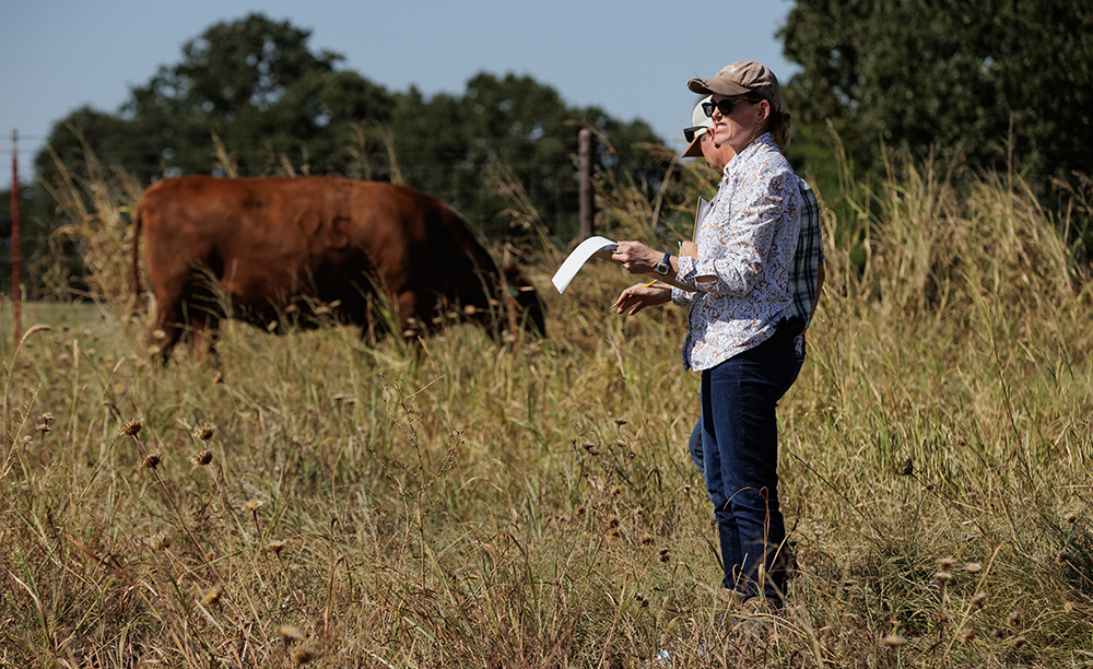 planning grazing goals