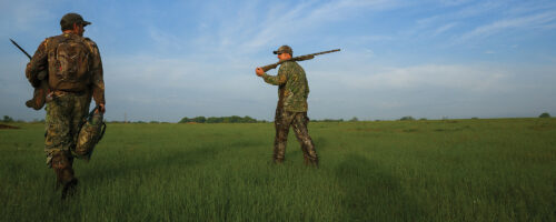 Stewardship that Pays thumb