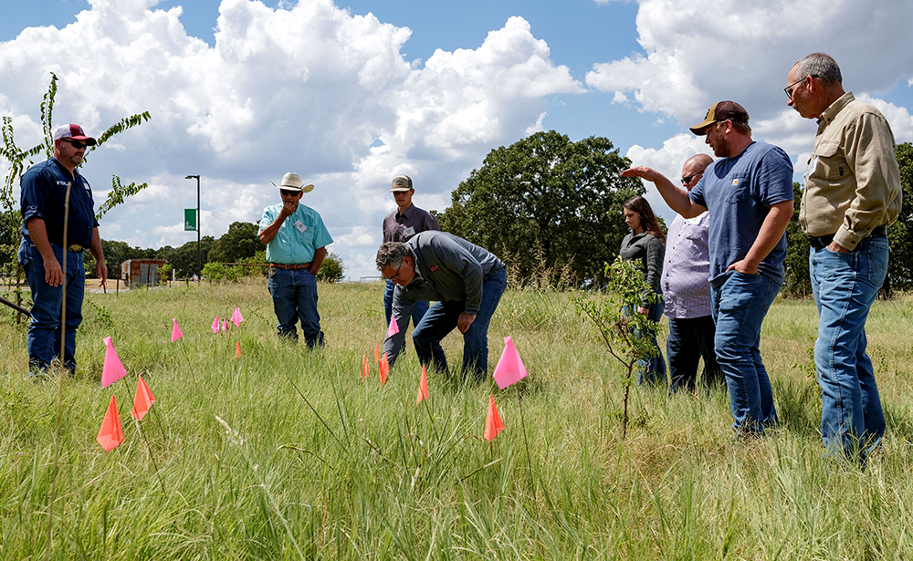 marking grazing plan in pasture