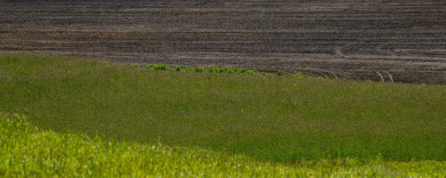 Break the Tillage Habit To Increase Soil Health on Your Ranch thumb