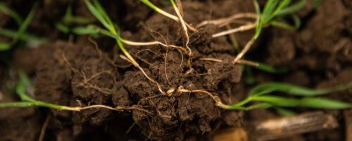 Tools to Start Your Soil Health Journey thumb