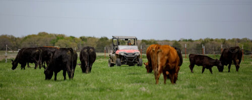 10 Simple Ways to Increase Profit on Your Ranch thumb